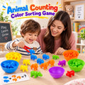 Animal Counting, Color Sorting & Matching Game with Rainbow Bowls